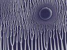 Sunn O))) - The GrimmRobe Demos 2x LP Southern Lord M