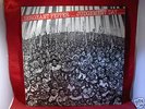 RARE ARIWA LP - JUDGEMENT DAY - SERGEANT PEPPER