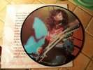 Jimmy Page PICTURE DISC LP record Led Zeppelin England