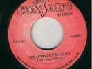 BELTONES-WRAPPED UP IN LOVE-RARE-MINT-REGGAE 7