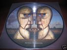 PINK FLOYD THE DIVISION BELL LIMITED PICTURE DISC.