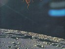 BEHERIT ---drawing down the moon--LP--first press-