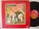 MUTUAL UNDERSTANDING  pop psych VG copy LP