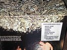M- Orig 1969 STEPPENWOLF   MONSTER Growling Blues psych