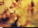 STEAMHAMMER  S/T 1969 UK orange CBS GATEFOLD 1st PRESS