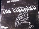 JOE ROSANOVA & VINEYARD 1968 RARE PRIVATE PSYCH LP HEAR