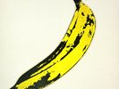 Rare Andy Warhol Cover :  VELVET UNDERGROUND & NICO