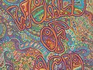 RARE PRIVATE PSYCH COMP 