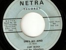 CURT BLOCK VIBRATIONS on Netra 60s GARAGE PUNK 45 HEAR