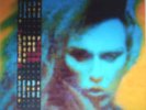 Dead or Alive RARE 7