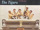 THE TIGERS