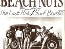 THE BEACH NUTS THE LAST RIDE STEVE CROSNO EL PASO SURF
