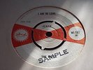 RARE SKA UK 45 - THE RIOTS - I AM IN LOVE - ISLAND