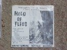 Halo of Flies Thoughts In A Booth