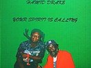 ARTHUR DOYLE HAMID DRAKE QBICO Your Spirit Is Calling