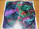 NURSE WITH WOUND - THE BACTERIA MAGNET - 12