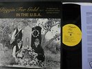 DIGGIN FOR GOLD v. 7 US 60s PUNK PSYCH MOD BEAT FUZZ