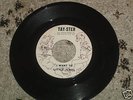 LITTLE JEWEL I WANT TO ORG N. SOUL 45 PROMO ON TAYSTER