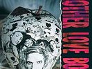 Mother Love Bone - Apple LP (Pearl Jam Soundgarden)