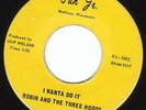 Surf/Garage- Robin & Three Hoods -