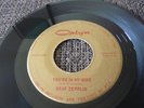 GRAF ZEPPLIN you´re in my mind GARAGE PSYCH on ORLYN 45