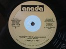 FAMILY TREE / SKYE 12 RARE MODERN SOUL DISCO ANADA NM
