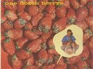 Chuck Berry - One Dozen Berrys original Chess LP