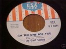 RARE 1966 45 RPM USA NO. 856 DJ COPY THE GREAT SOCIETY