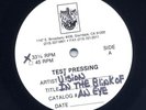VISION In The Blink... LP test pressing Insted Judge