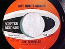 Northern Soul 45 THE SHIRELLES Last Minute Miracle HEAR