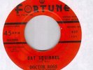 Doctor Ross & The Orbits on Fortune Blues Listen