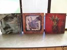 3x Paradise Lost Maxi's 1992 bis 1995 KULT   RAR 