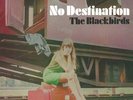 THE BLACKBIRDS NO DESTINATION RARE SAGA FID2113 N/M LP