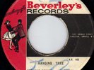 DESMOND DEKKER & ACES - HANGING TREE on BEVERLEY's
