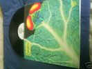 CATAPILLA - CHANGES