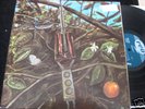 DRAGONFLY ST ORIG LP Blue REO 1968 RARE HEAVY PSYCH NM-