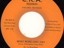 THE NOTATIONS What More Can I Say RARE Sweet Soul 45