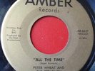 Peter Wheat and The Breadmen Amber 6657 Rare Garage