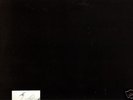 ALPACA BROTHERS/LEGLESS/FLYING NUN/W/POSTCARDS