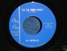 THE HATFIELDS rare 1967 US / IN. GARAGE / G45/ BFTG /NM