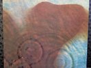 PINK FLOYD MEDDLE ORIGONAL MASTER RECORDING MFSL  LP