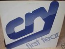 RARE Private Hard Rock LP CRY First Tear PITTSBURGH '85