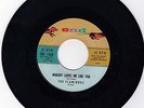 Doo Wop - the Flamingos - END 1068