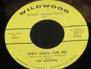 Centrees Wildwood 60's GARAGE G100 Ohio MINT Punk 60s