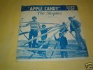 PICTURE SLEEVE PS SKEPTICS KAMPUS 813 APPLE CANDY NICE