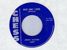R&B Mod Popcorn JIMMY ROGERS What Have I Done CHESS HEA