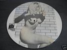 BLONDIE-ON THE ROAD PROMO PICTURE DISC LP USA 1980 NUDE
