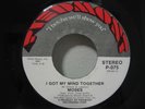 MOSES I Got My Mind Together MODERN SOUL/FUNK/DISCO 45
