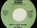  FUNK 45 / LEE FIELDS on LASHAWN 