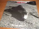 PEARL JAM - SONIC REDUCER FAN CLUB 45 MINT WITH SLEEVE
